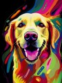 Labrador_35.jpg
