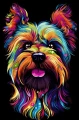 yorkshire_terrier.jpg