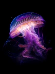 Meduza 12 - Podświetlany obraz led Lightvibes