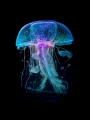 Meduza_15.png