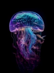 Meduza 18 - Podświetlany obraz led Lightvibes