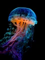 Meduza_22.png