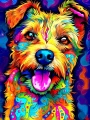 Russell_terrier_39.jpg