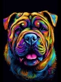 shar-pei_2_28.jpg
