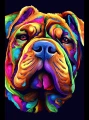 shar-pei_27.jpg