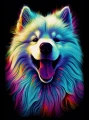 samojed_26.jpg