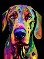plott_hound_24.jpg
