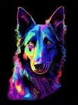 Owczarek belgijski - Podświetlany obraz led Lightvibes