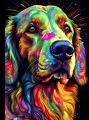 flat_coated_retriever_13.jpg