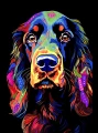field_spaniel_12.jpg