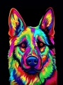elkhund_szary_11.jpg