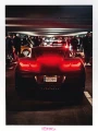 WNR_vette_biala.gif