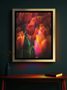 Tulipany. Kwiaty - Podświetlany obraz led Lightvibes