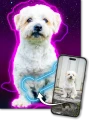 template_mockup_zdjecie_glowne.png